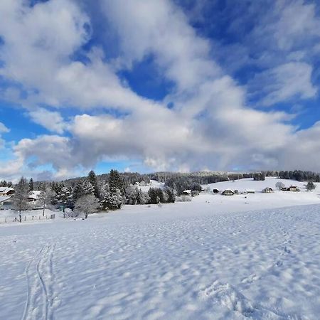 Gemuetliche Ferienwohnung Fuer 4 Gaeste In Schoenwald Шёнвальд Экстерьер фото